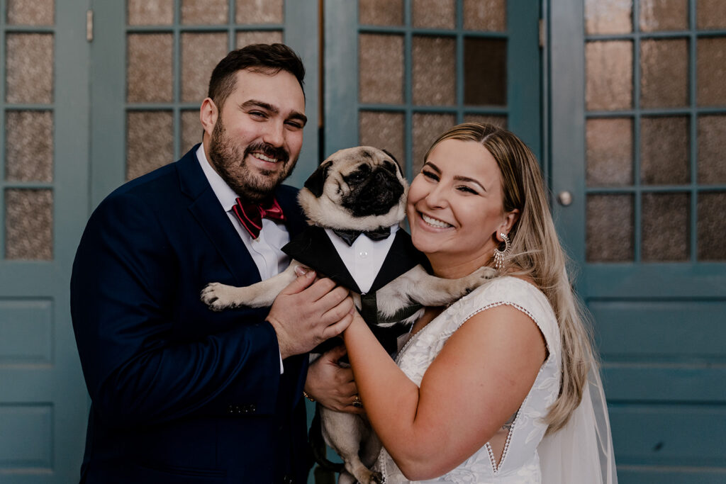 Wedding Dog - Essential Dog Photography Tips