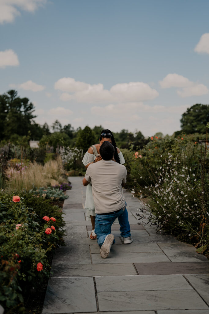 secret engagement in longwood gardens pennsylvania