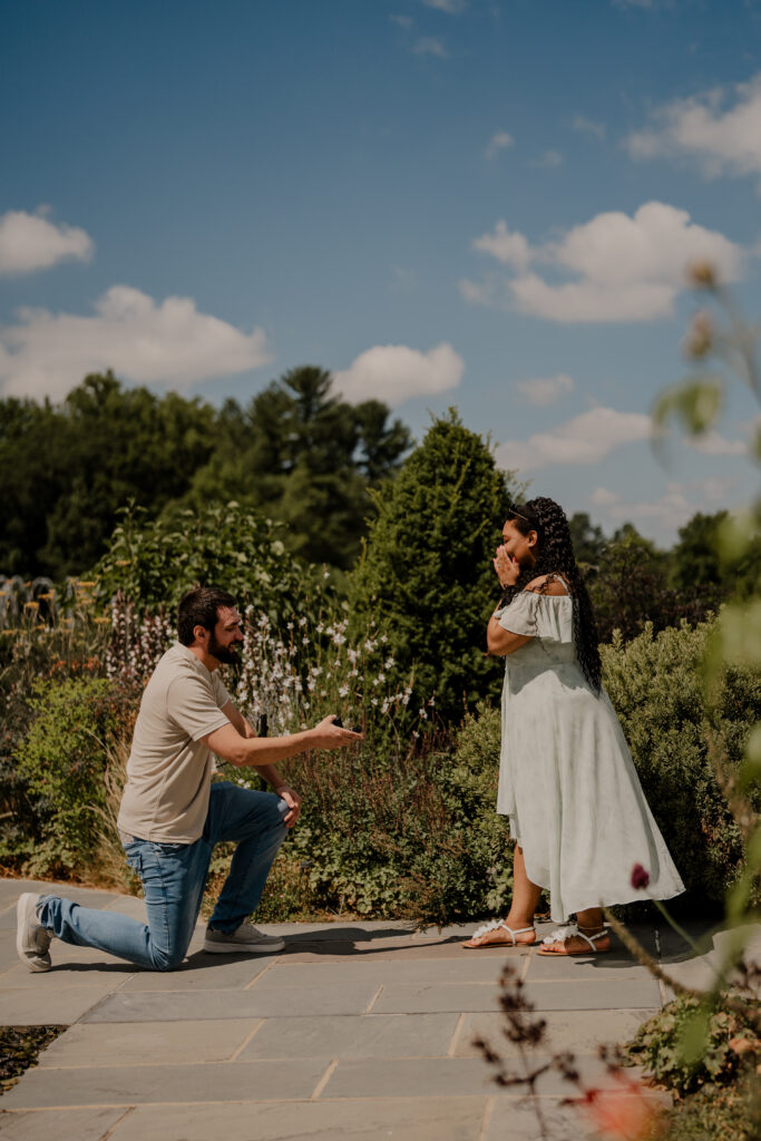 secret engagement in longwood gardens pennsylvania